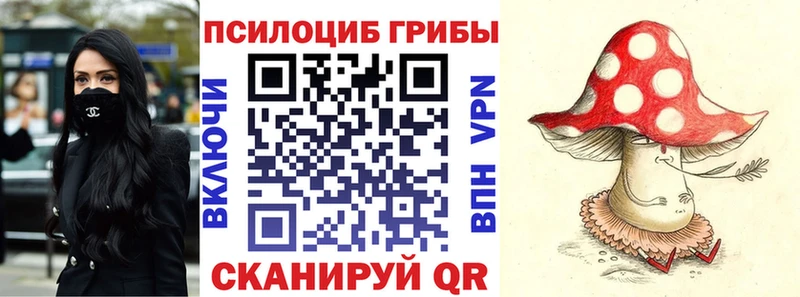 блэк спрут вход Сызрань Галлюциногенные грибы Cubensis